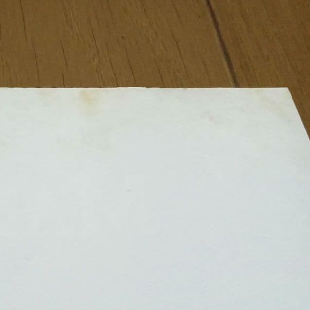 MALICE MIZER マリスミゼル フライヤー2枚 - メルカリ