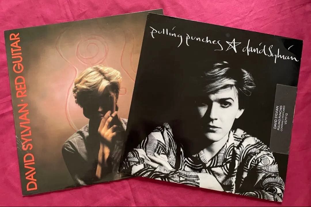 David Sylvian The Perfume of Wealth サイン付 美術品・アンティーク