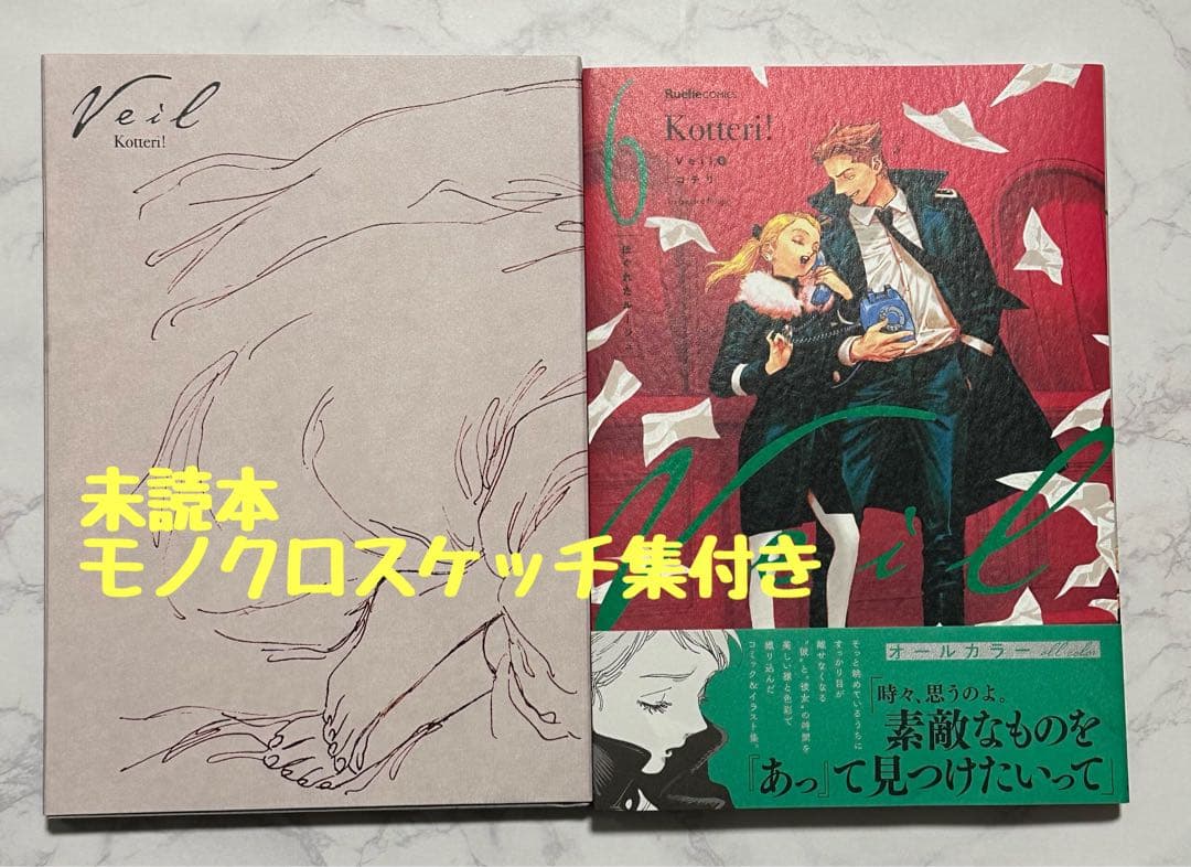 Veil 6 コテリ ほぐれたルージュ 未収録モノクロスケッチ集付き - メルカリ
