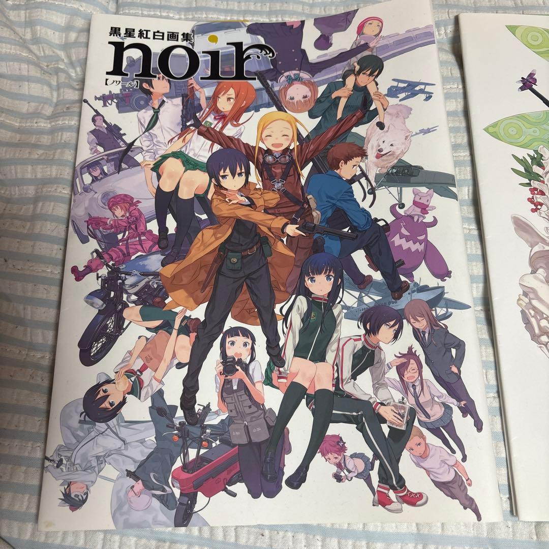 帯・限定カバー付き】黒星紅白画集 2冊セット noir rouge - メルカリ