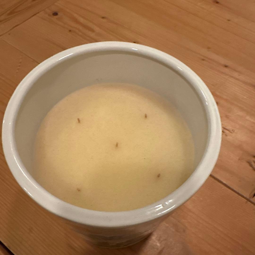 定価¥51480/新品✨ガーデンキャンドル シトロネル 1.5KG [限定版]