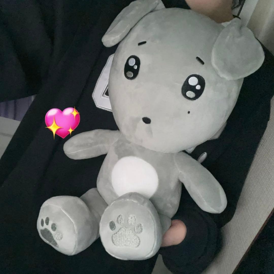 ドギョム 40cm ぬいぐるみ　新品　マスター　セブチ　svt ドギョム 40cm ぬいぐるみ 新品 マスター セブチ svt SEVENTEEN セブチ