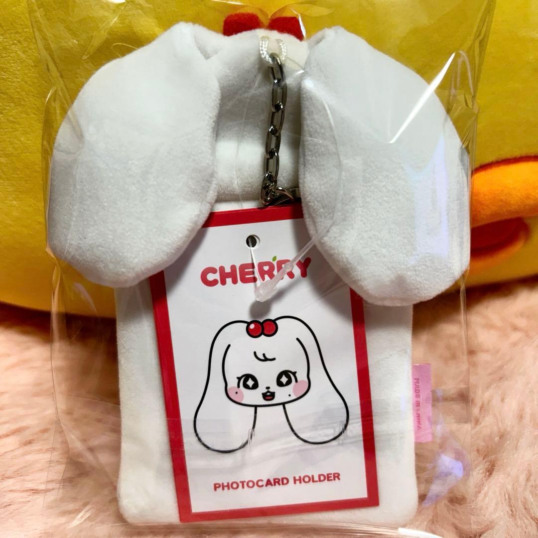 公式] IVE minive トレカホルダー トレカケース ウォニョン - メルカリ