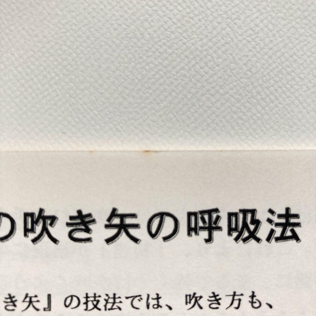 希少本　忍者セラピー　EOが伝授した最高のメンタルトレーニング　鈴木方斬　無明庵