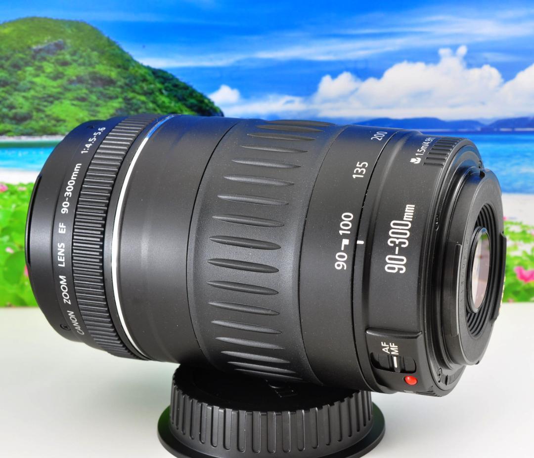 キャノン Canon EF 90-300mm F4.5-5.6 望遠レンズ