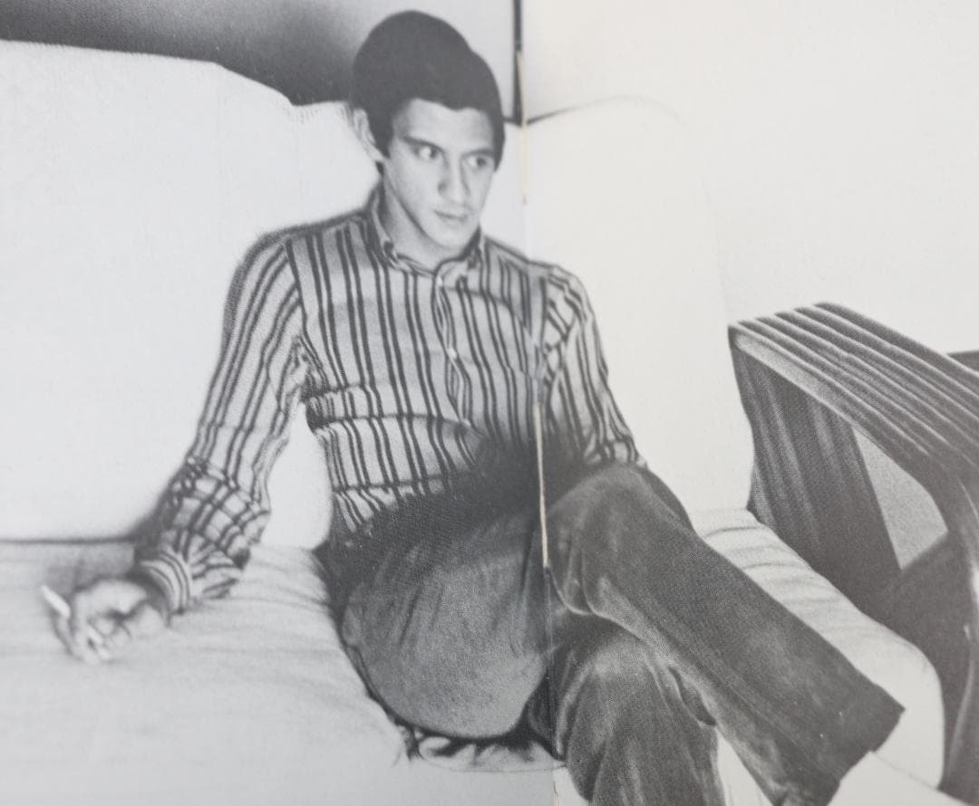 超貴重 閃光の青春 レーサー福沢幸雄写真集 中古本 - メルカリ