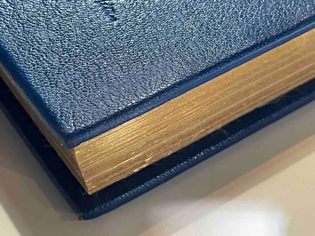 洋書 NATURA NOSTRA 限380 ブラジリエ画 革装幀 三方金 - メルカリ