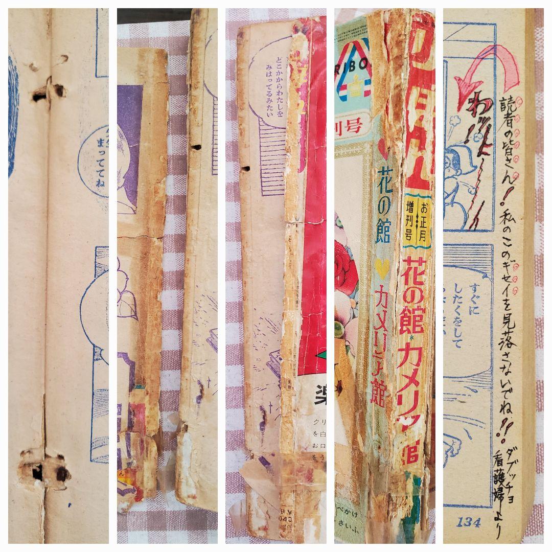 新春セール！わたなべまさこ「花の館・カメリア館」総集編前編 りぼん