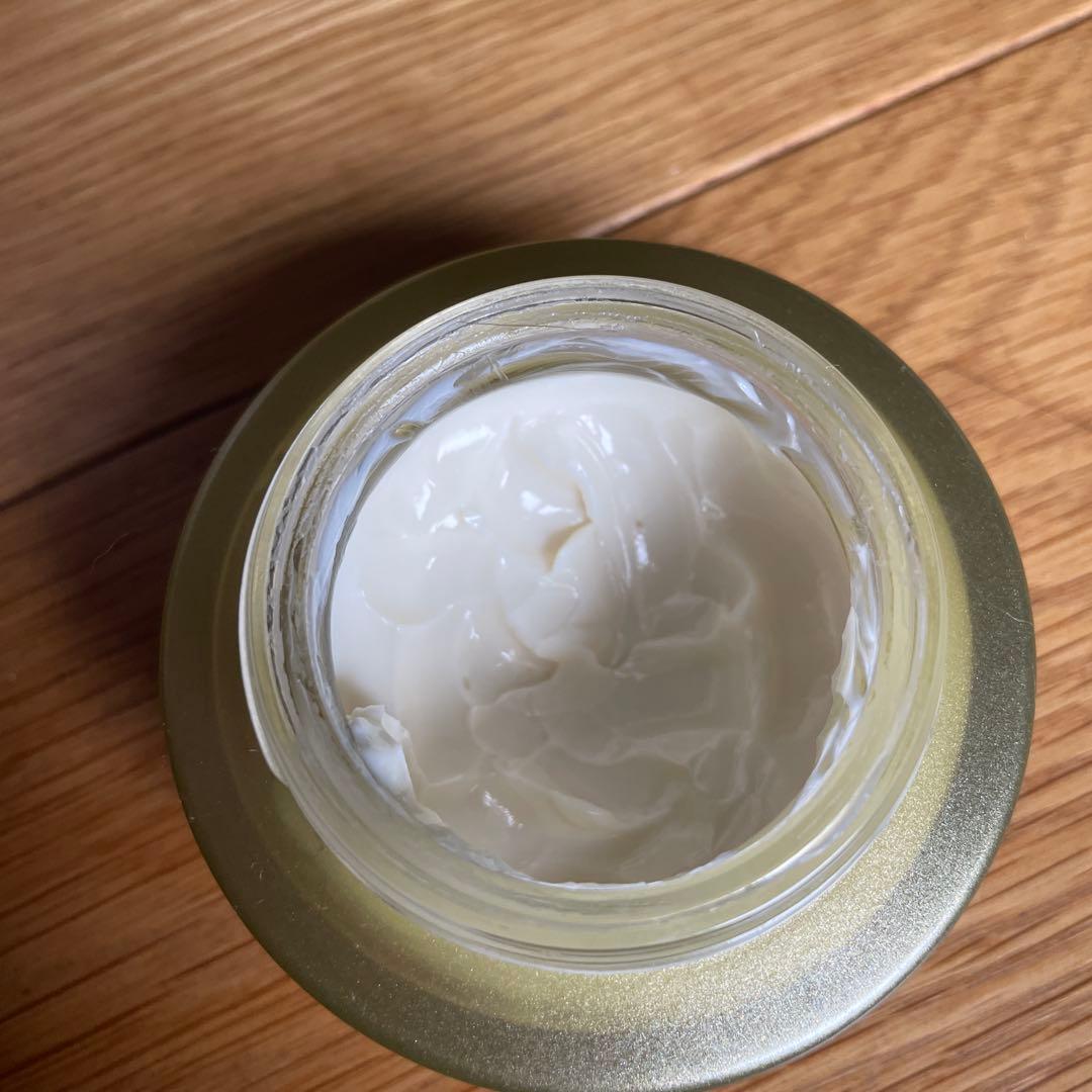 スーパーセール！ サレーヌ ZONING SEクリーム アブソルート フェイス