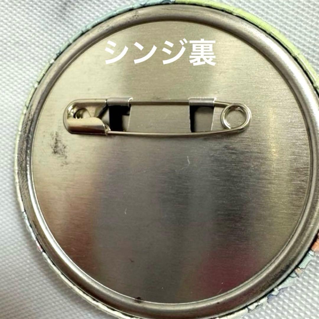 ✨希少✨エヴァンゲリオン エヴァコロン 缶バッジ シンジ カヲル