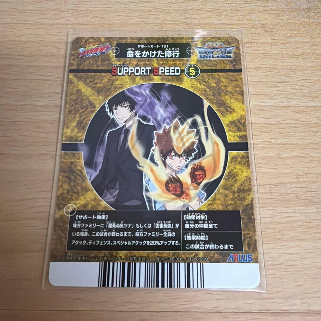 家庭教師ヒットマンREBORN サザンクロスバトル MVR 沢田綱吉 - メルカリ