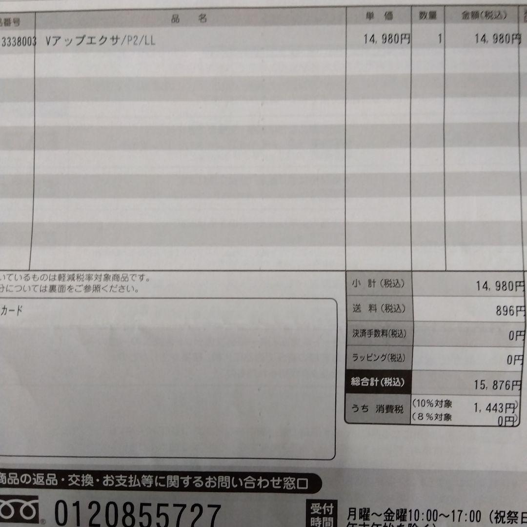ヒロミプロデュース　Vアップエクサ/P2