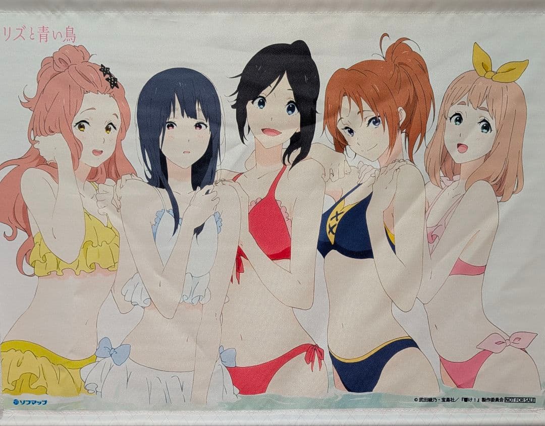 劇場版 リズと青い鳥 ソフマップ BD/DVD 特典タペストリー ユーフォニアム リズと青い鳥』公式サイト