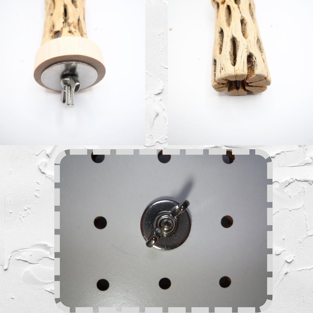 鳥用品 止まり木 カクタス スケルトン パーチ 中細 No.579 - メルカリ