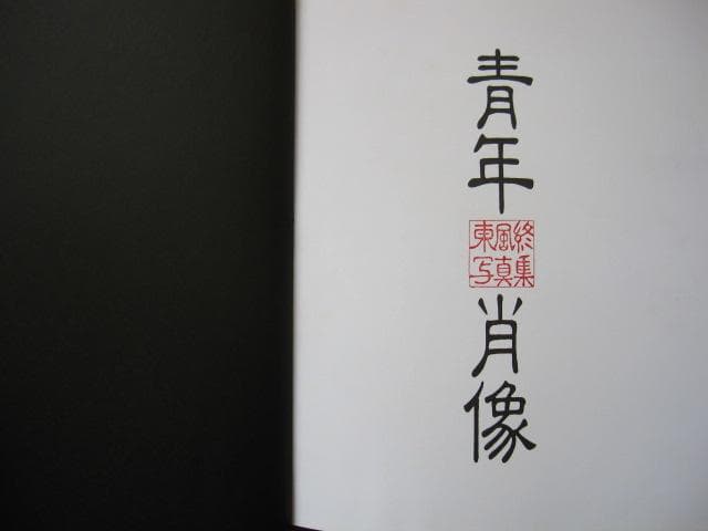 青年肖像 日本の男が美しい 東風終 - メルカリ