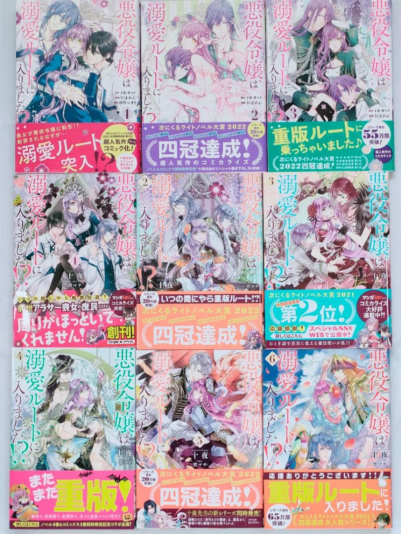 悪役令嬢は溺愛ルートに入りました!? 小説＋漫画 合計9冊 全巻セット