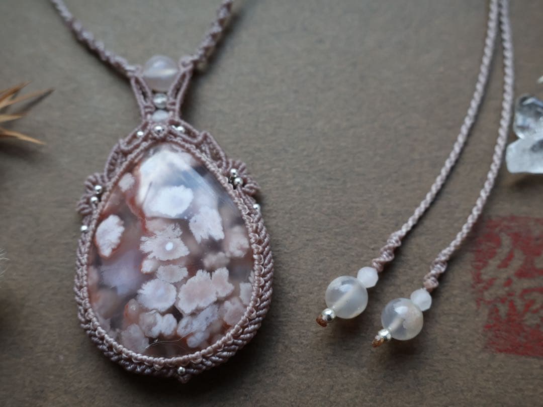 でんちゃん 8/22