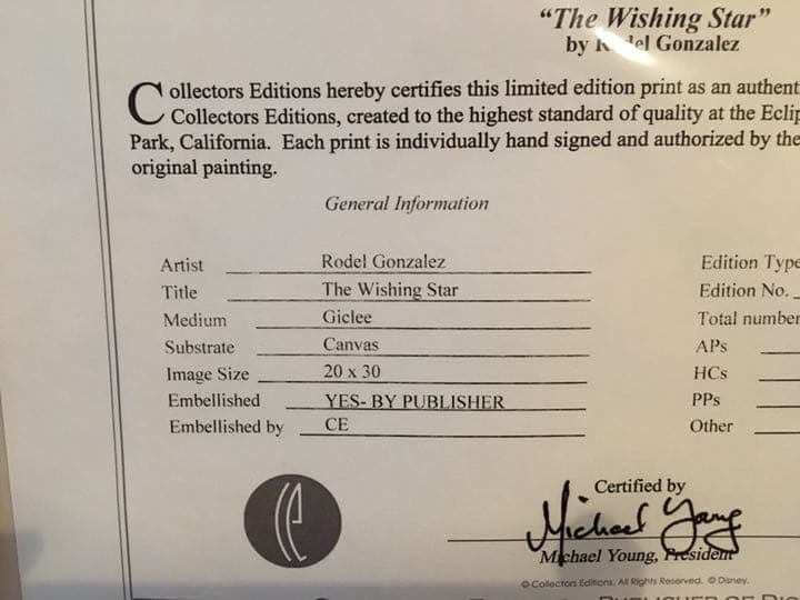 ディズニー 絵画 ピノキオ「ザ・ウィッシング・スター」作品証明書