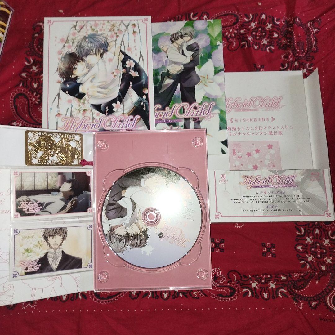 Hybrid Child DVD 全4巻 特典付き ＢＬ