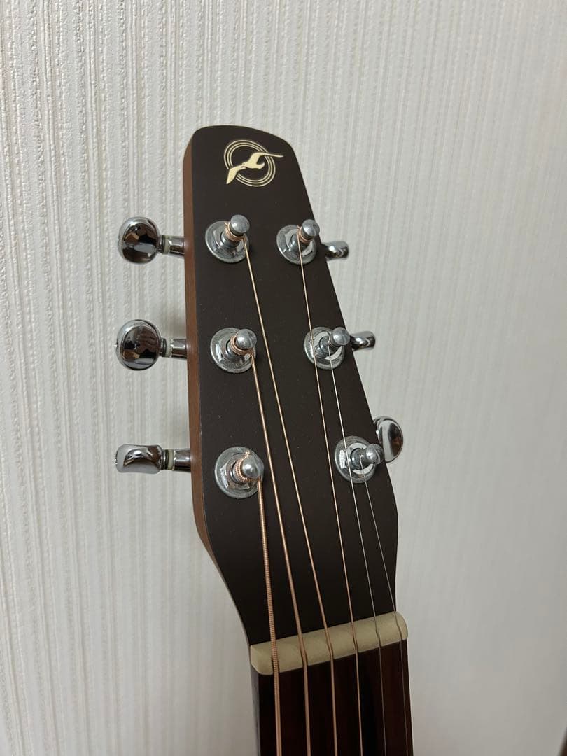 シーガル M6 スプルース アコースティックギター