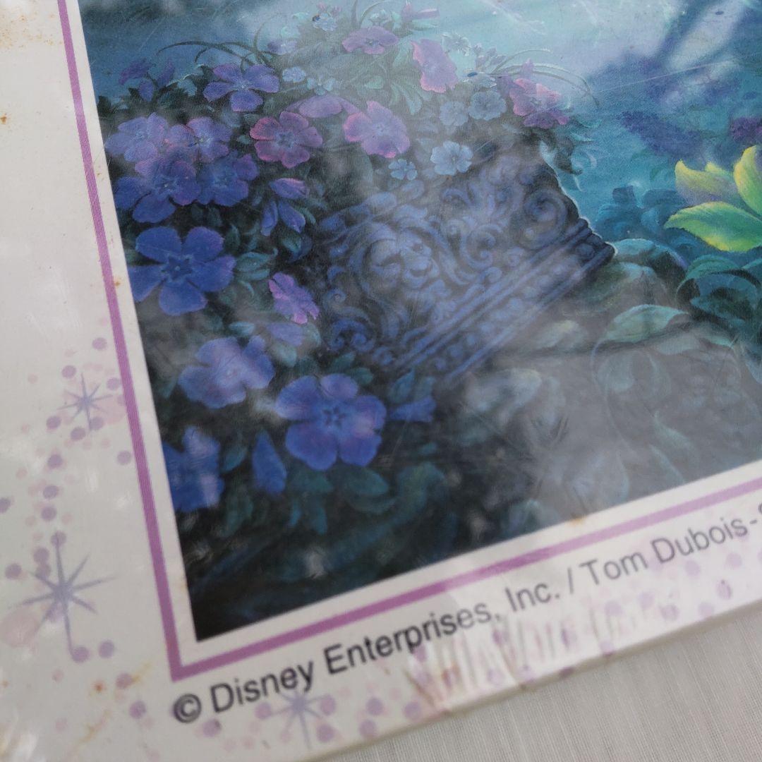 シュリンク付♥ジグソーパズル 】シンデレラ イヴニング オブ マジック1000