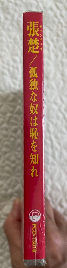 中国ロック張楚ヂャン•チュウ「孤獨的人是可恥的/孤独な奴は恥を知れ」日本盤未開封