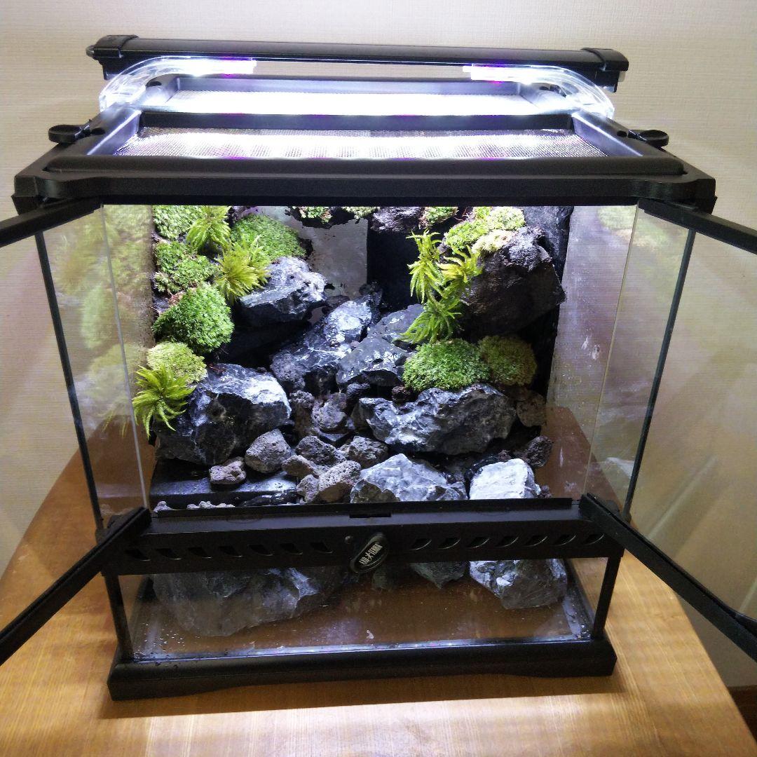 受注生産】イモリウムグラステラリウム3030 苔テラリウム アクア