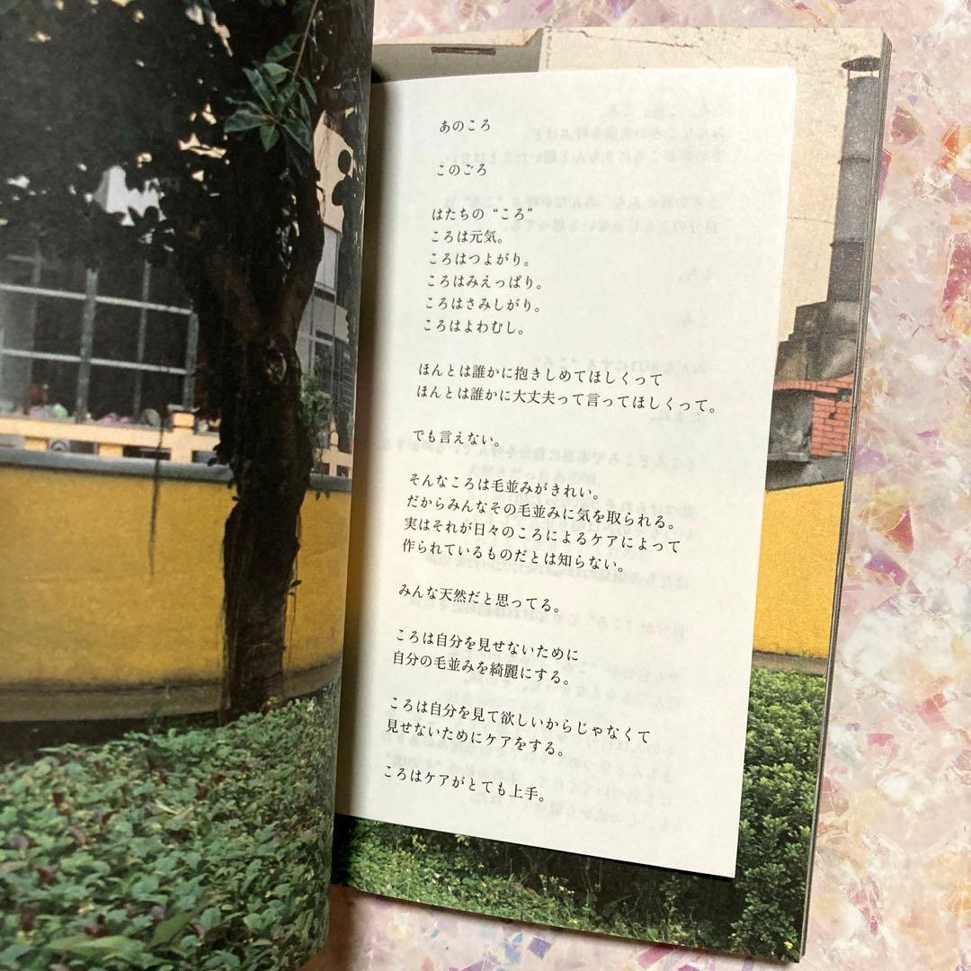 20歳の頃」 川島小鳥 森川葵 - メルカリ