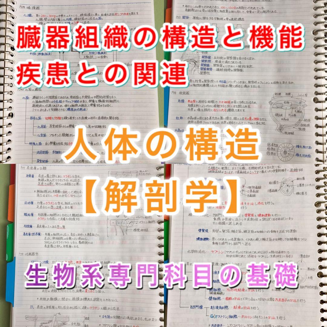 理学療法士、作業療法士国家試験、学科定期試験対策シリーズ【解剖学