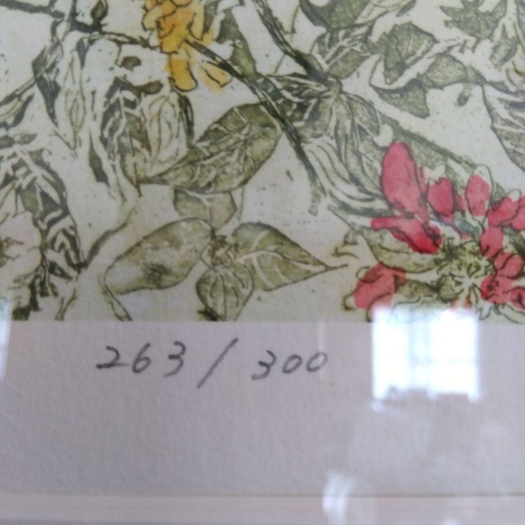 ジョアン・アイザック The Garden （М） - メルカリ