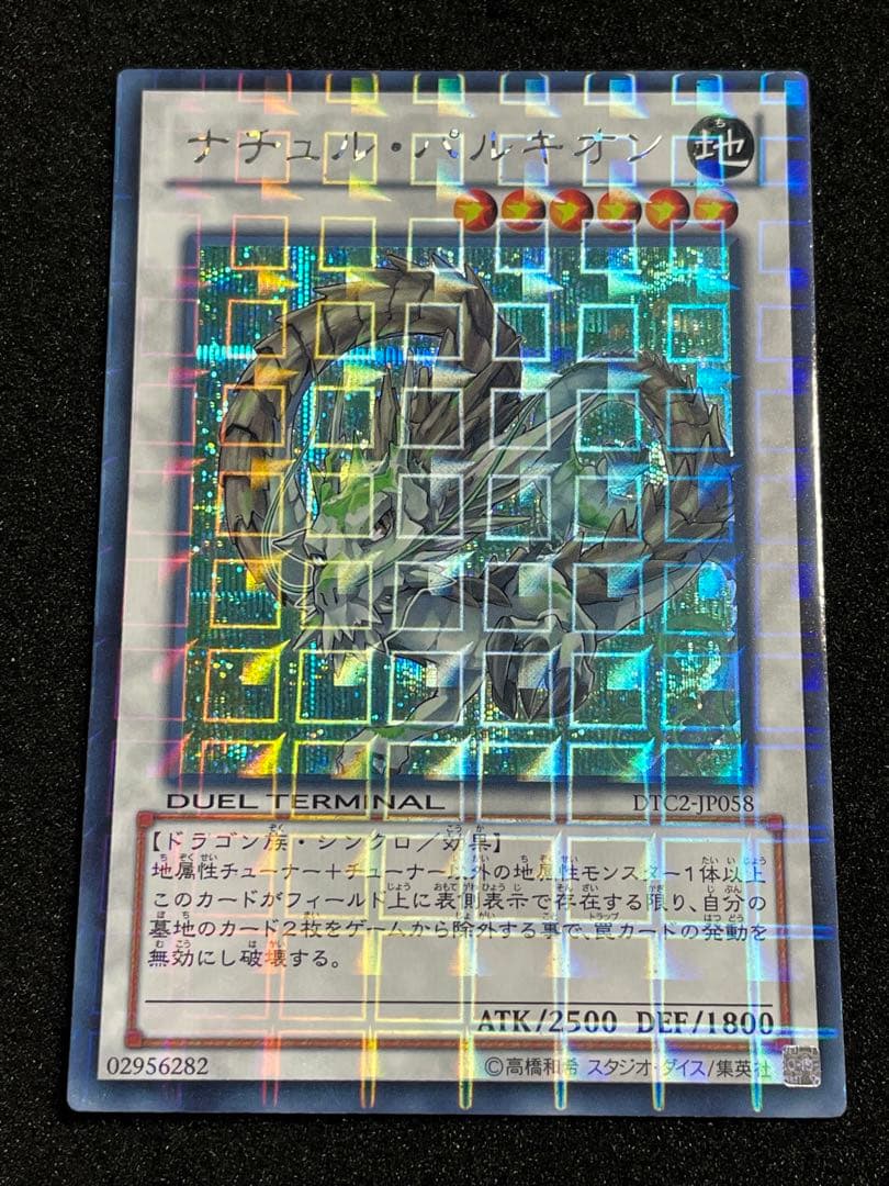 ARS鑑定 10】ナチュルパルキオン DTC シークレットレア 貴重！ - メルカリ