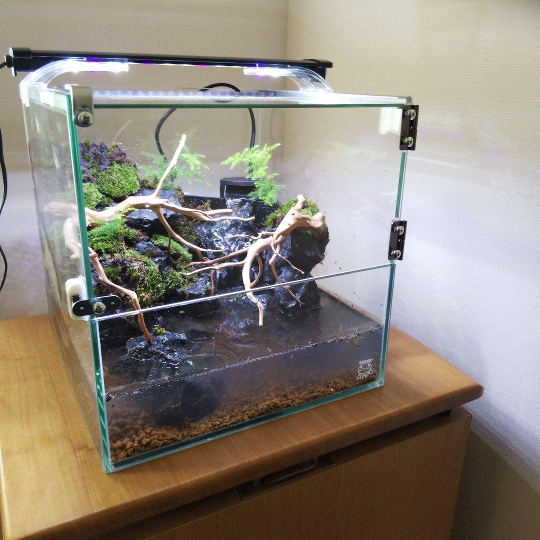 アクアテラリウム完成品 イモリウム 苔テラリウム 滝のあるアクア