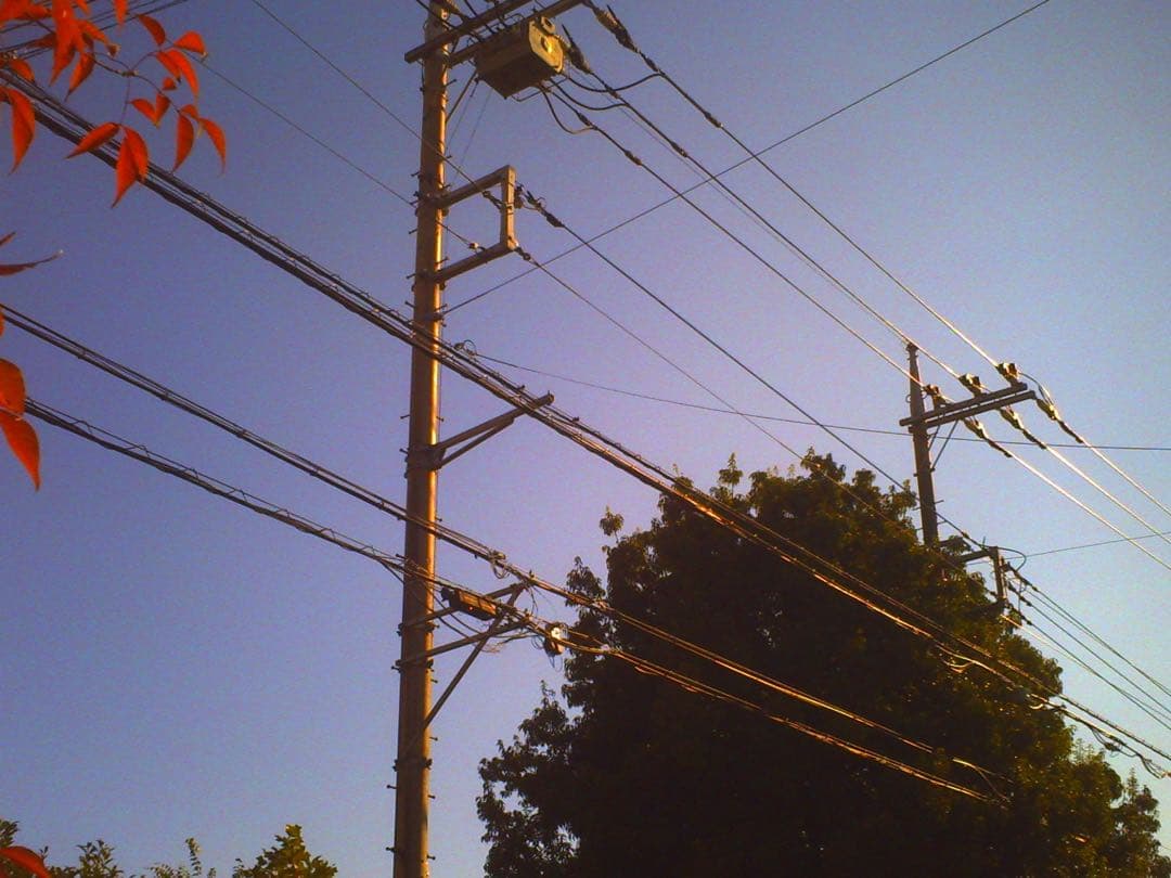 ネコノデジタルカメラ NDC1マイキー、NDC3ホワイト 2台セット - メルカリ