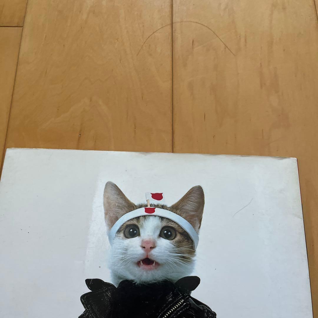 なめ猫 写真集「なめんなよ 大写真館」1982年 初版 新興楽譜出版社