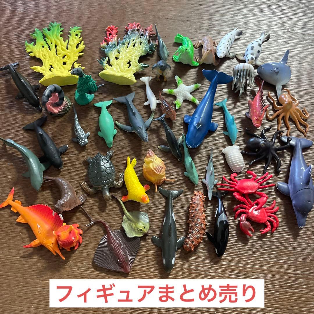 大幅値下げ！まとめ売り 海の生き物 - メルカリ