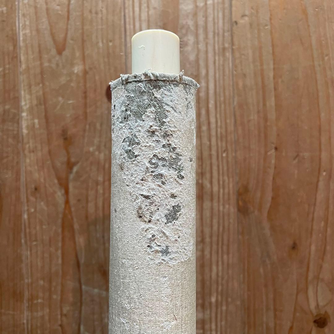 掛け軸 横山大観 牛 水辺 日本画 水墨画 サイン・落款あり 25.9.21−2