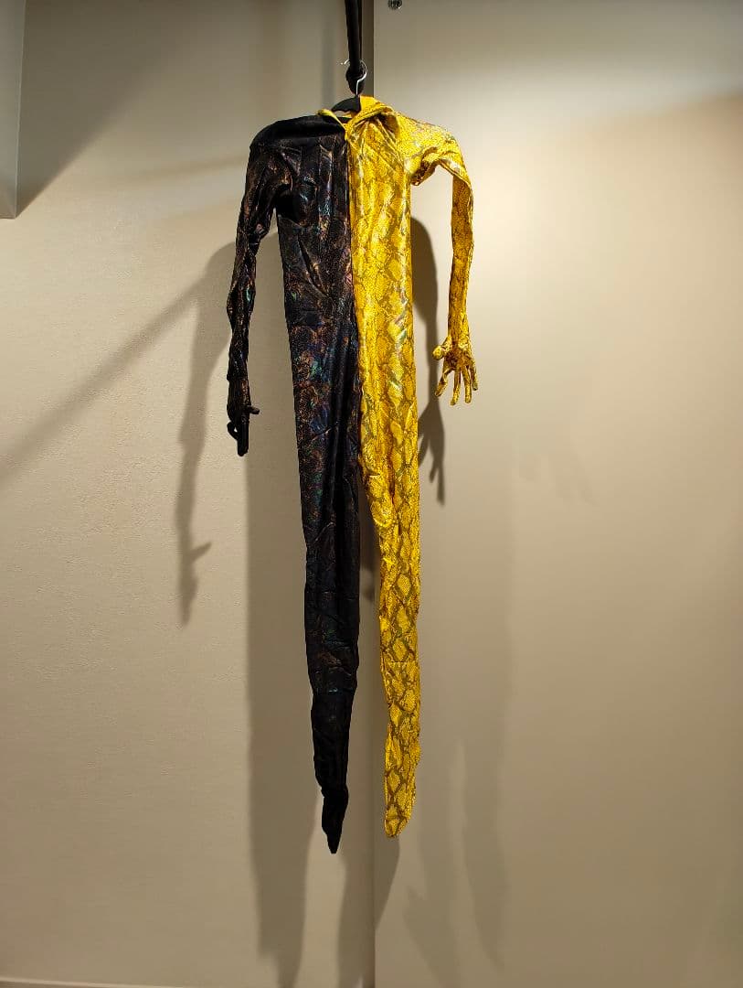 ☆　女性サイズ・ダブルカラー全身タイツ　☆　ZENTAI、コスプレ、戦隊