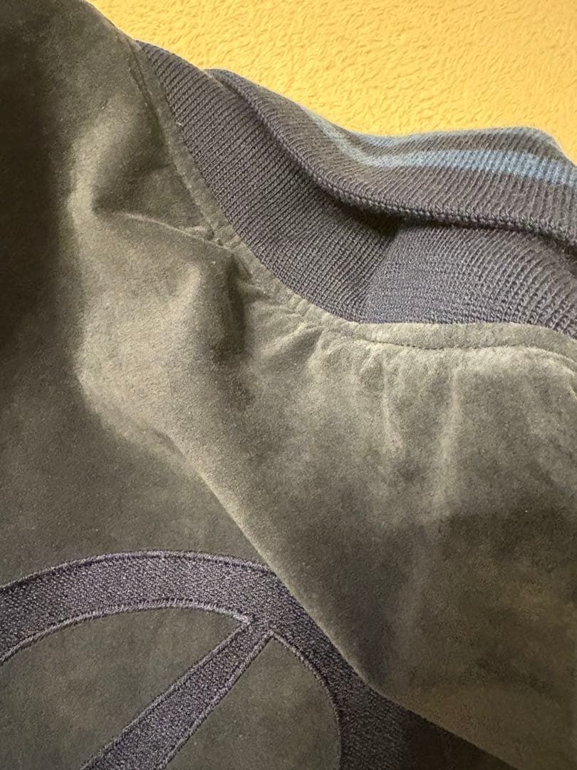 ナゴヤドーム5周年記念 中日ドラゴンズスタジアムジャンパー - メルカリ