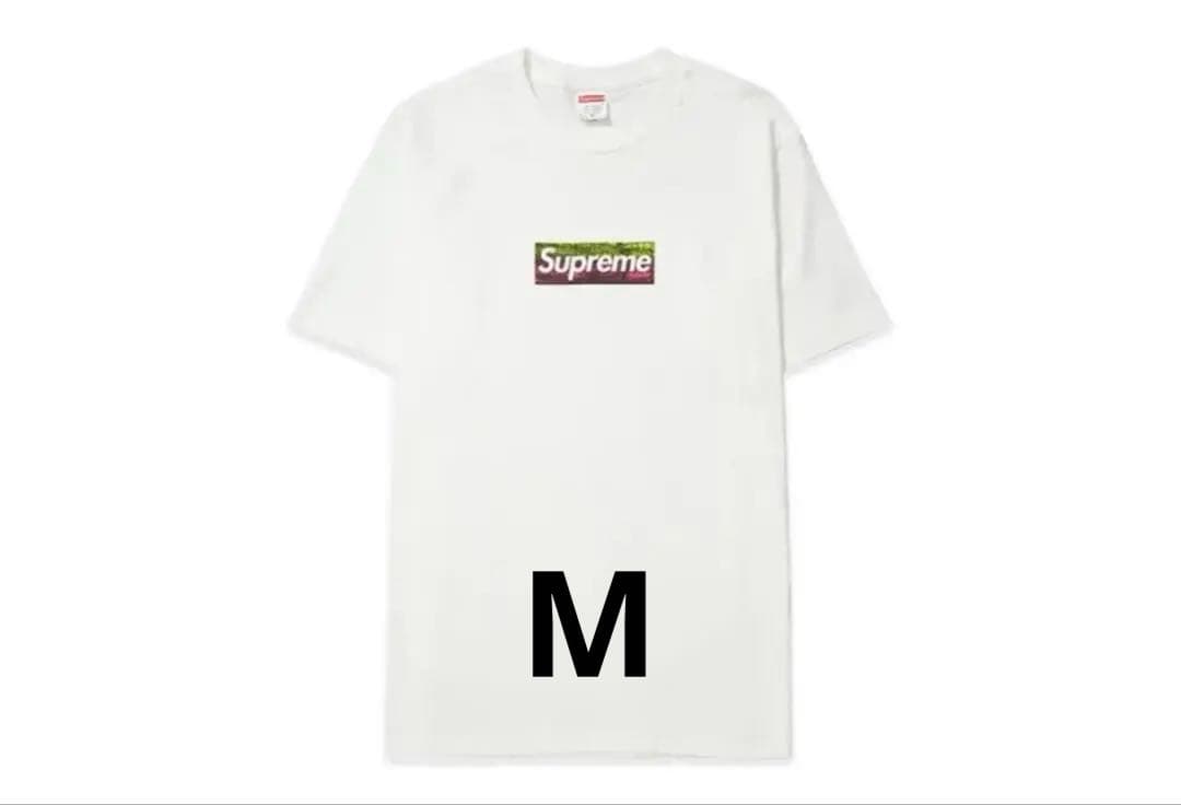 真作/井元萩浦/山村煙雨/桐共二重箱付/布袋屋掛軸HG-38