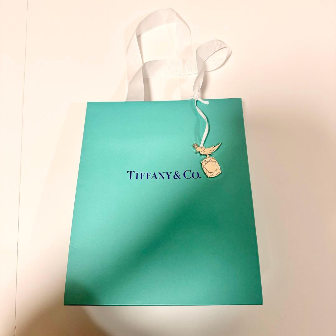 新品未使用✨ティファニー 紙袋 限定チャーム付き 銀座本店 表参道