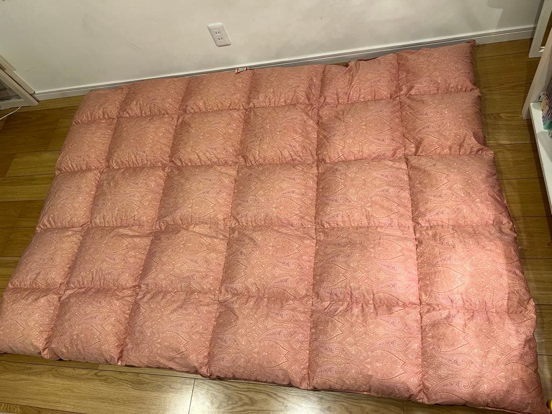 東京西川 超長綿100% セルビア産マザーグースダウン93% 1.2k 一層