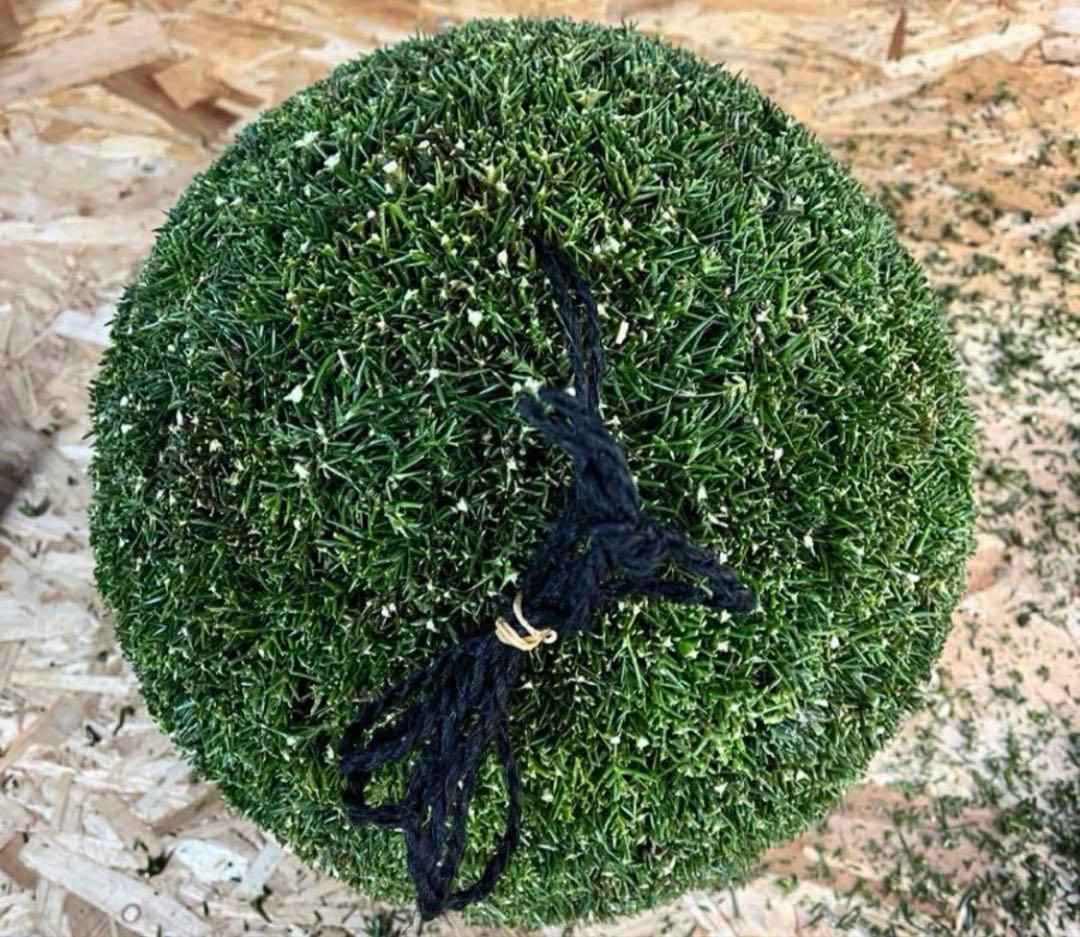 杉玉　約45センチ‼️お客様ご注文品♪