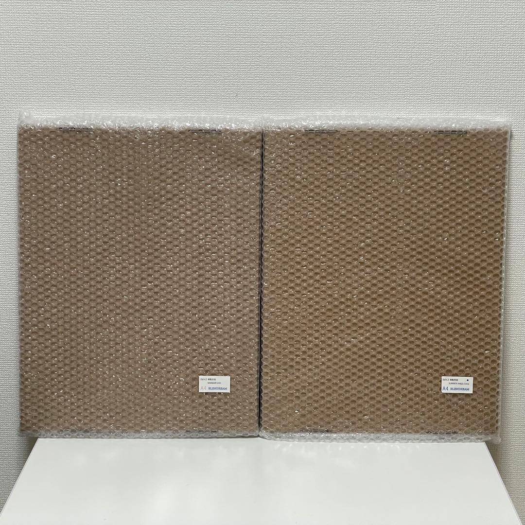 ぱん先生『MIMI&MESHIO』『SUMMER ANGEL Extra』