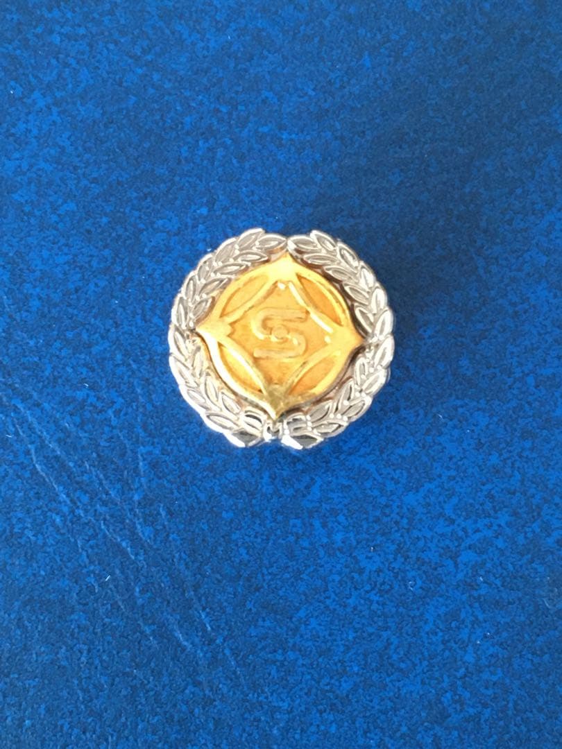 新日鉄 勤続30年社章 K14 14金 純銀 - メルカリ