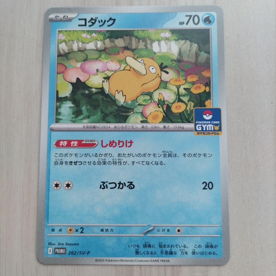 コダック：ジムプロモ PROMO SV-Pプロモカード 262/SV-P - メルカリ