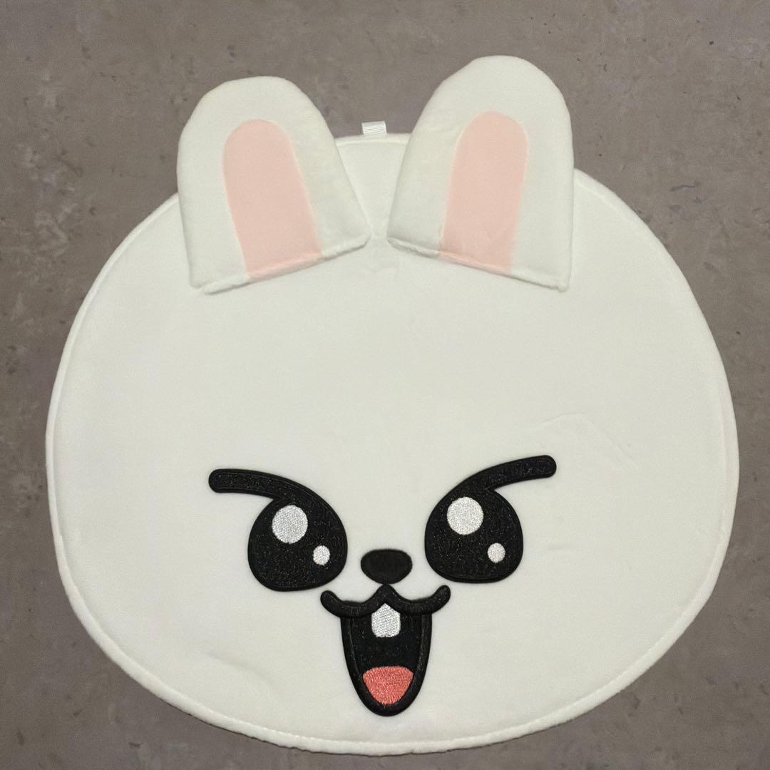 stray kids スキズ リービット リノ うちわケース うちわカバー - メルカリ