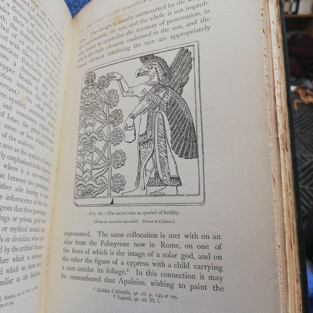 The Sacred Tree by Mrs. J. H. Philpot - メルカリ