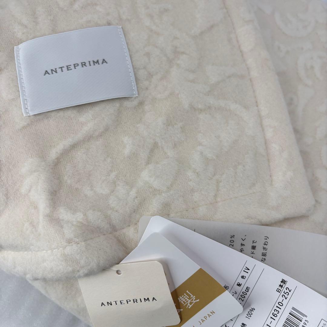 ANTEPRIMA】アンテプリマ 綿毛布 シングル 2枚セット