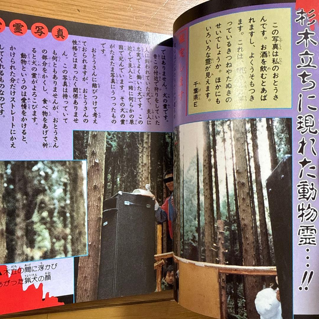 初版 恐怖の心霊体験大百科 宣保愛子 ケイブンシャの大百科 362 怪奇