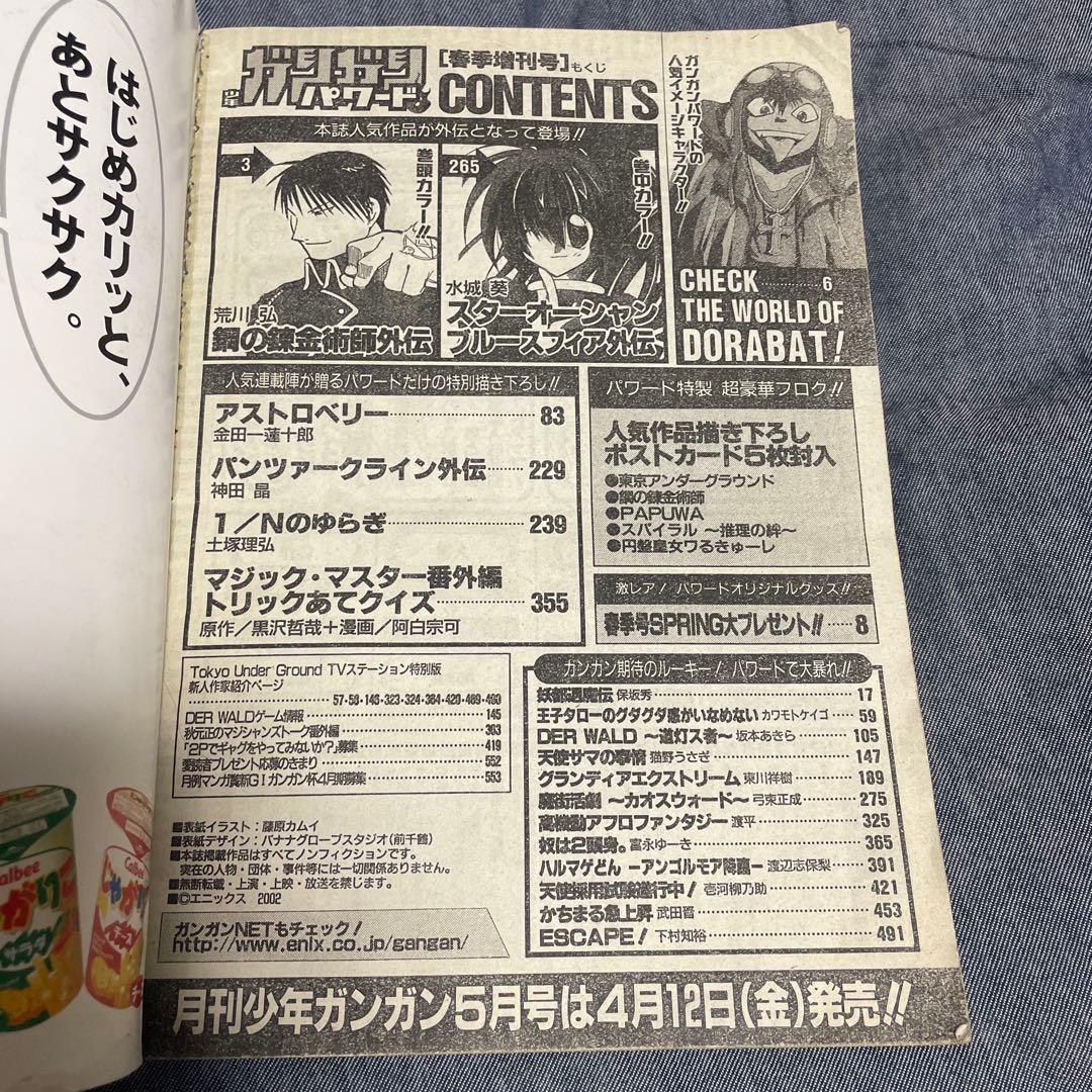 月刊少年ガンガン増刊 ガンガンパワード 2002年5月号 鋼の錬金術師